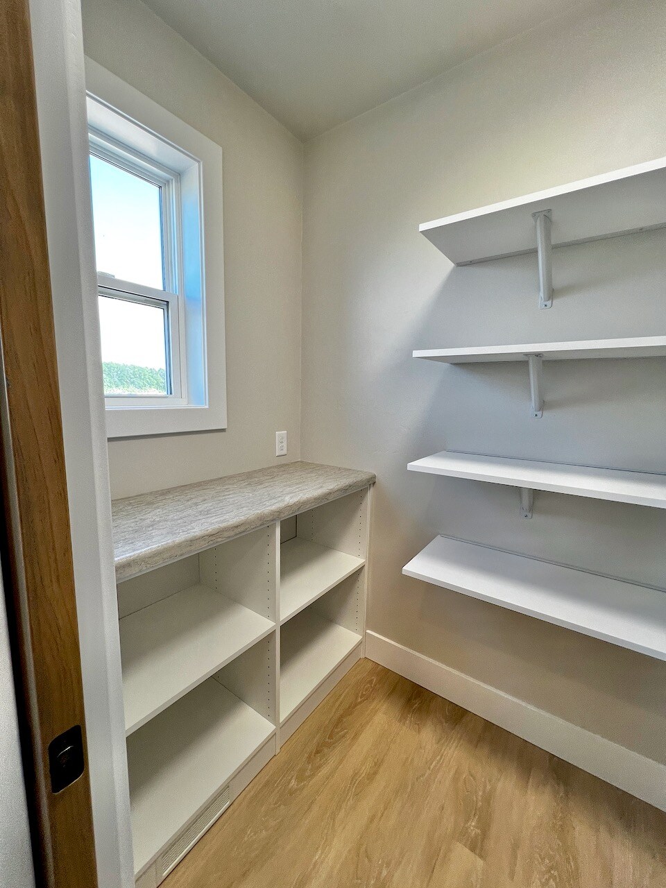 Walk-in Pantry with wood flooring.